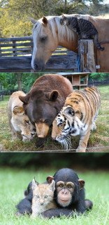 d7731be6099ff7a6f2a351f9394c9a6c