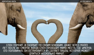 8182c32054cf0047057a119a0fb8d1ec_RSZ_690