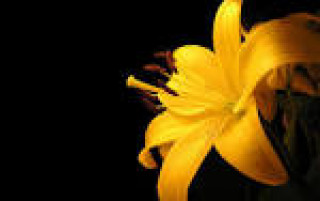 images-18