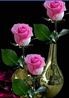 38744651_2042881102693729_5666771569645453312_n