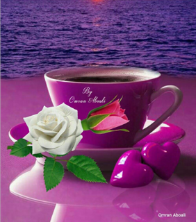 38880933_430621387459434_528415714827042816_n