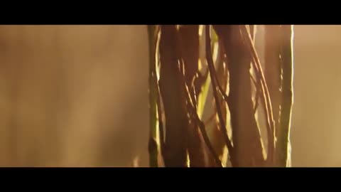 Alan_Walker_ft__Gavin_James_-_Tired_-_360HD_-__VKlipe__