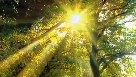 19d7b3b61ea0c3f1dd9b405aede05c6a_nasimke_