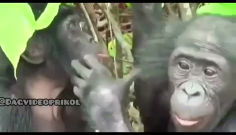 Говорил губы не качай