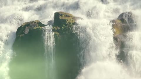 Shinedown_-_Ill_Follow_You_OFFICIAL_VIDEO