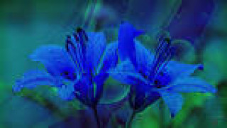 images-20