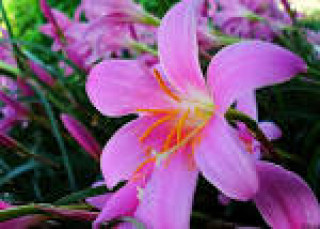 images-23
