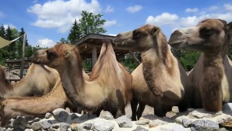 ЭТИ_СОБЫТИЯ_произошли_НА_ЗЕМЛЕ_в_АПРЕЛЕ_2018_года1