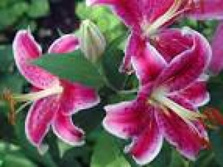 images-6