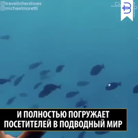 подводный_ресторан