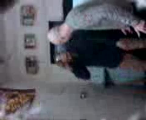 КОНЬ_НА_ТАНЦАХ_