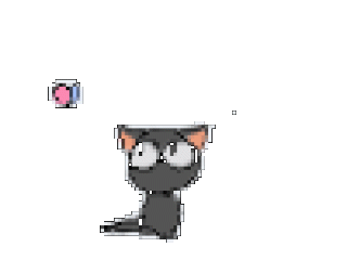 котябабочка