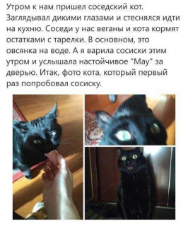 6f042d8fefcd0c32bda00622af887fc1