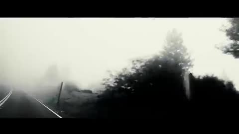 Video_20181006203942484_by_vidpact