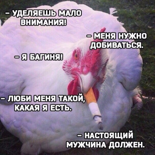 f1bb57ae7c686d0d4ae0b2003cd62d61