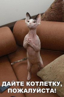 37399ba4411abb95849f344a849ca116