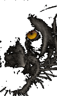blackpanth_d3dbrfw7