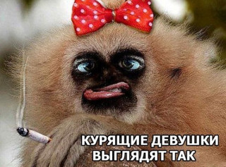 eae8ba3bb7ba97e91aca591795f1ff4b