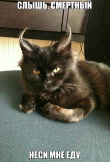 401d343d4bc56d7e5f470ccd68e9b28a