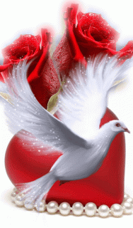 c40d5ff3133b1cf9b31eadcbcf18fa14-
