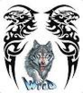 images_q_tbn_ANd9GcRQcA8MRkCi03VNKMEpXgx1Waft6g