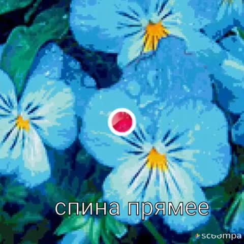 WA0030