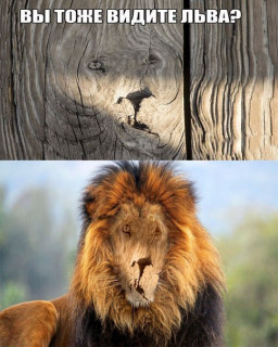 eac9c0e34506b9ef76b6cc5da63b75dc