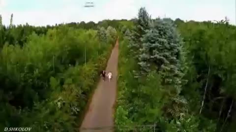 В_саду_гуляла_-_Украінська_народна_пісня