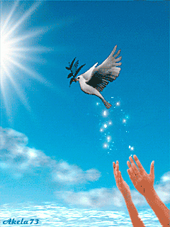 1363348106_animaciya-golub-ptica-mira