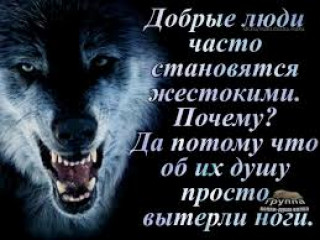 images_q_tbn_ANd9GcT-L92h2EM5a7dsfWKU8kpvpOlNJ7