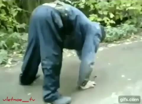 VID-20180822-WA0000