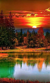 43829046_565722377181761_5812095357223436288_n