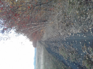 20181015_173828