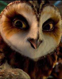 44055660_566274837126515_1972407123019038720_n1