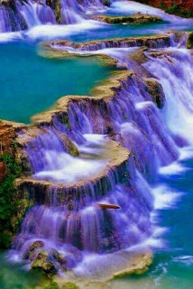 44075884_566246867129312_5700335566537621504_n