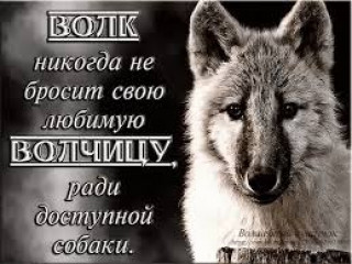 images_q_tbn_ANd9GcSjqugleT9N4OMLUayzSvm3Yrk3Bz