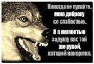 images_q_tbn_ANd9GcQVW4Q8QwKiPh72oQS3cLnCIbkTRo