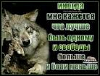 images_q_tbn_ANd9GcQ-a3DygivlKNrr1Od5mwI76Jassn