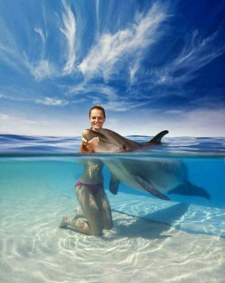 44460241_569501013470564_2225135497070510080_n