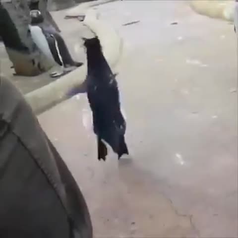 СЕГОДНЯ_БУДЕТ_ТУСА_