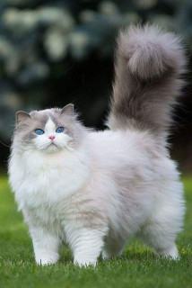 44676578_316561709132629_2205417456833396736_n