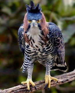 44945929_572276543193011_3647955662840791040_n