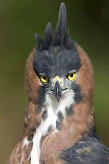 44870796_572277916526207_8013388984027709440_n