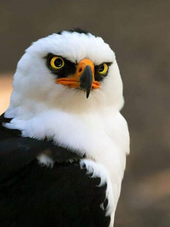 44823555_572278146526184_3062220383928188928_n