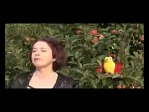 Дед_и_бабка_Супер-песня__Слушайте
