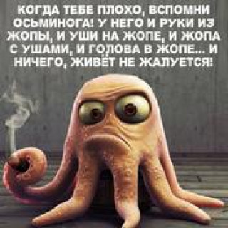 59c8de910dcc536453e988dd90e54704_176x208