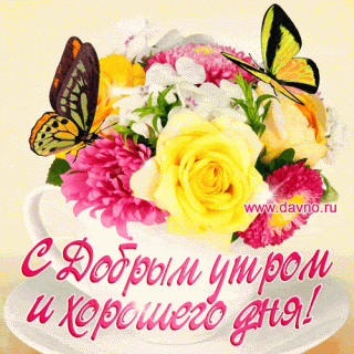 доброе_у