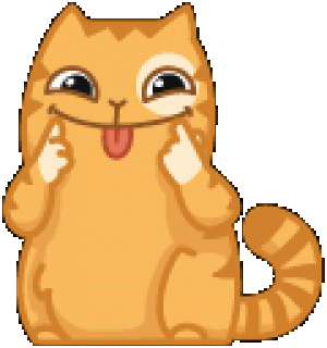 Кот12