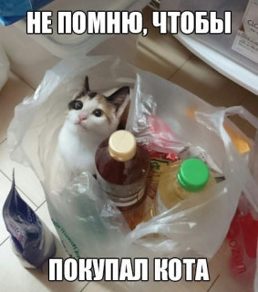 ZM7rd2o8Q