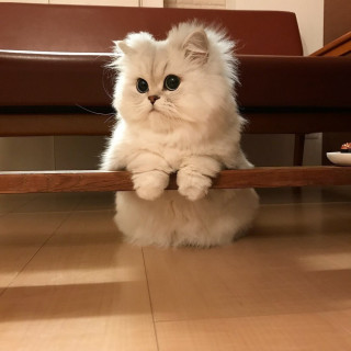 JyWxMww4byw